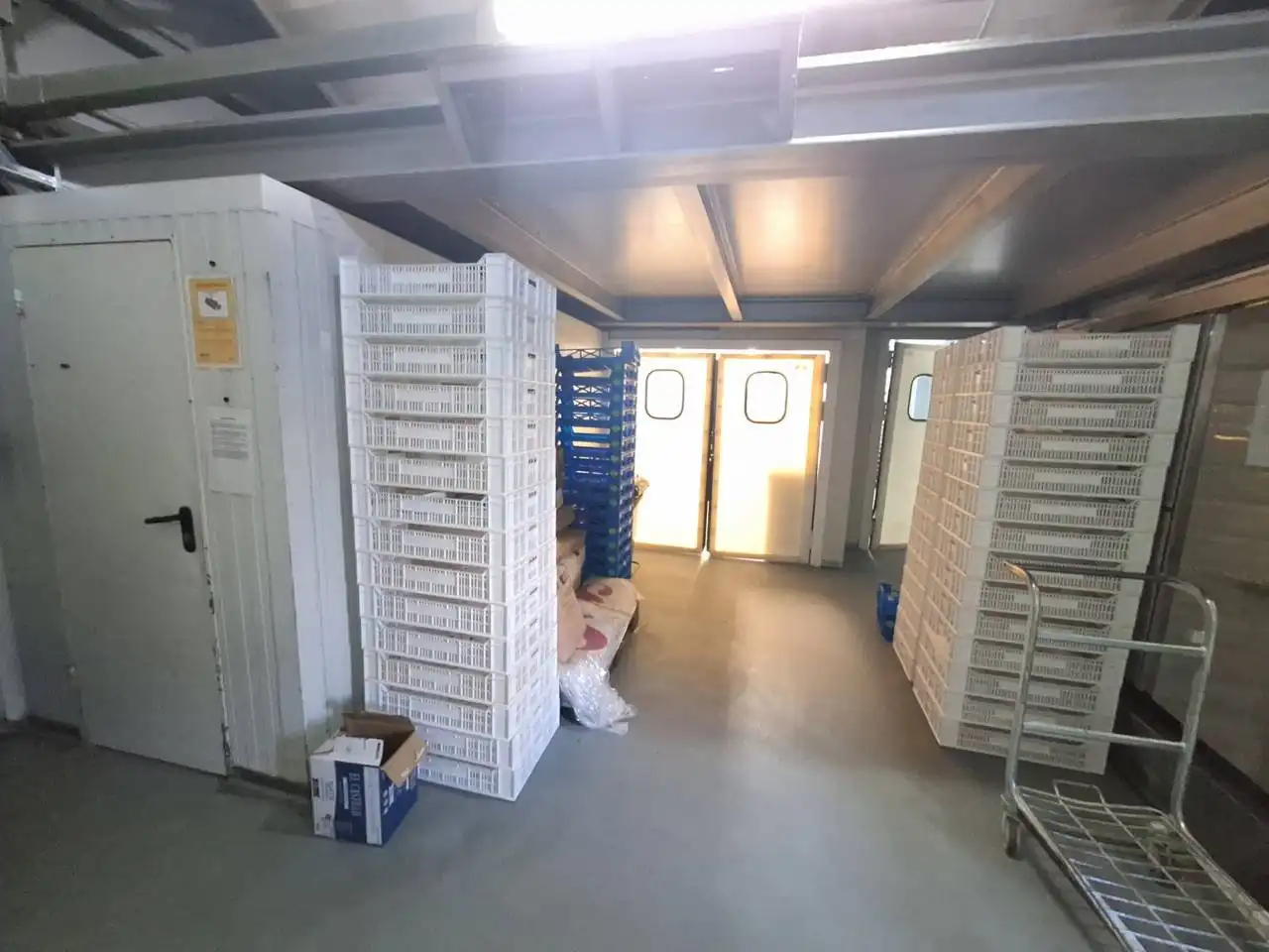 Industrial building for transfer in El Naranjo, imagen 4
