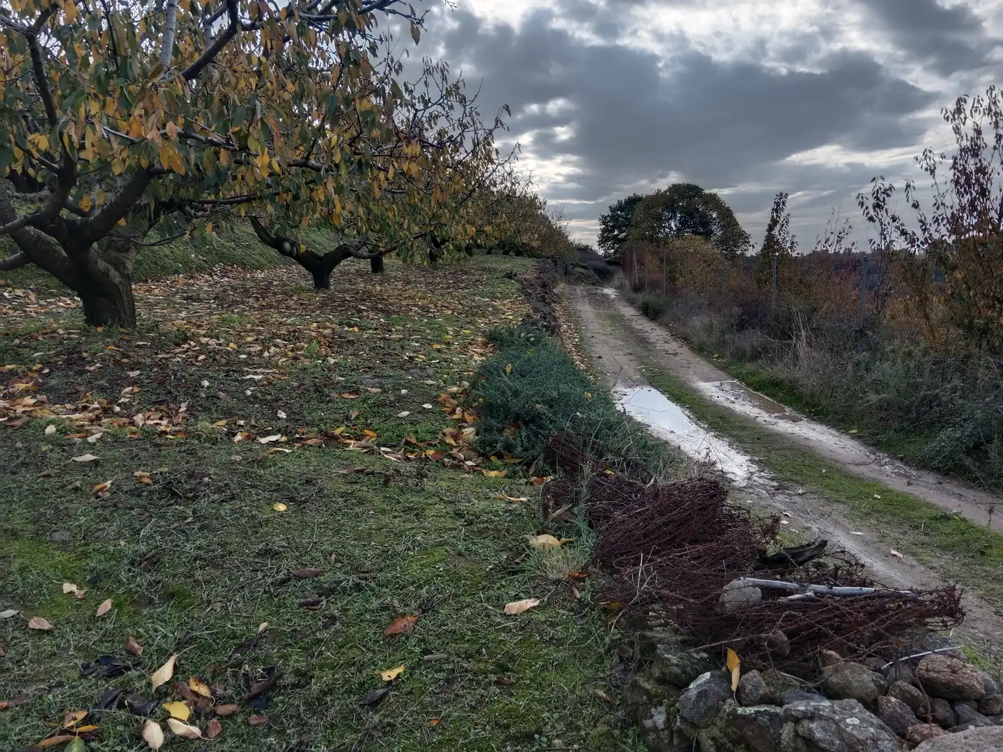 Terreni e lotti in vendita a Pasarón de la Vera, imagen 10