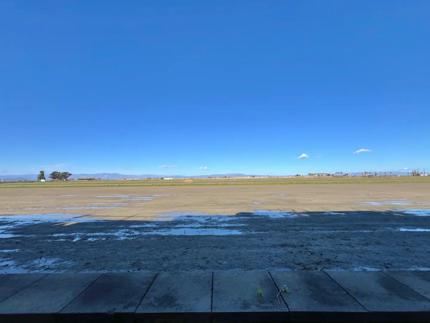 Vista exterior de Piso en venta en Amposta con Jardín privado, Terraza y Amueblado