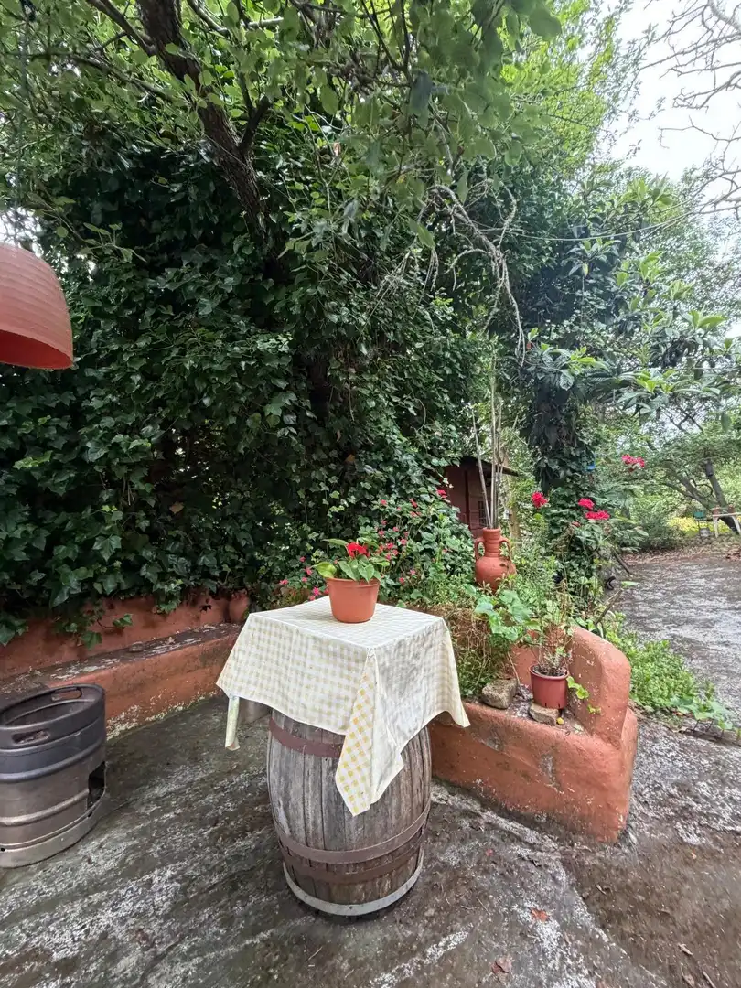 Terreno rustico in vendita a El Bebedero - Pinolere - Aguamansa, imagen 26