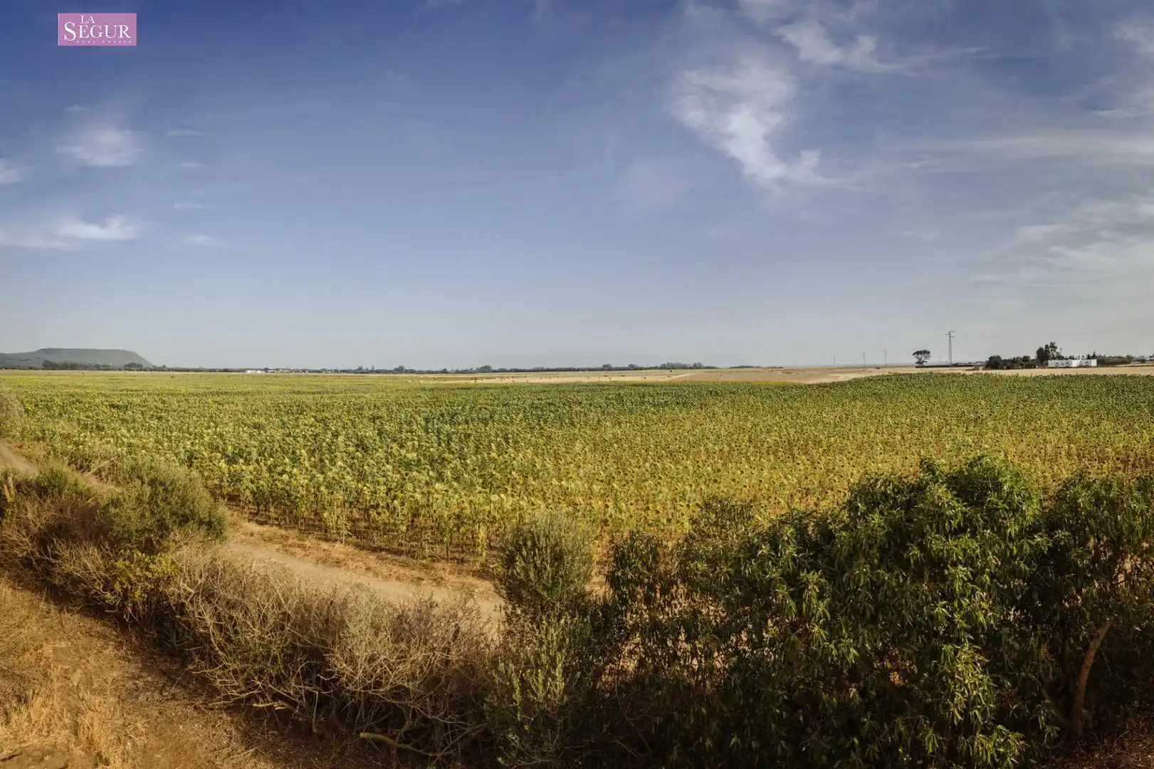 Xalet amb jardí en venda a El Palmar, imagen 43