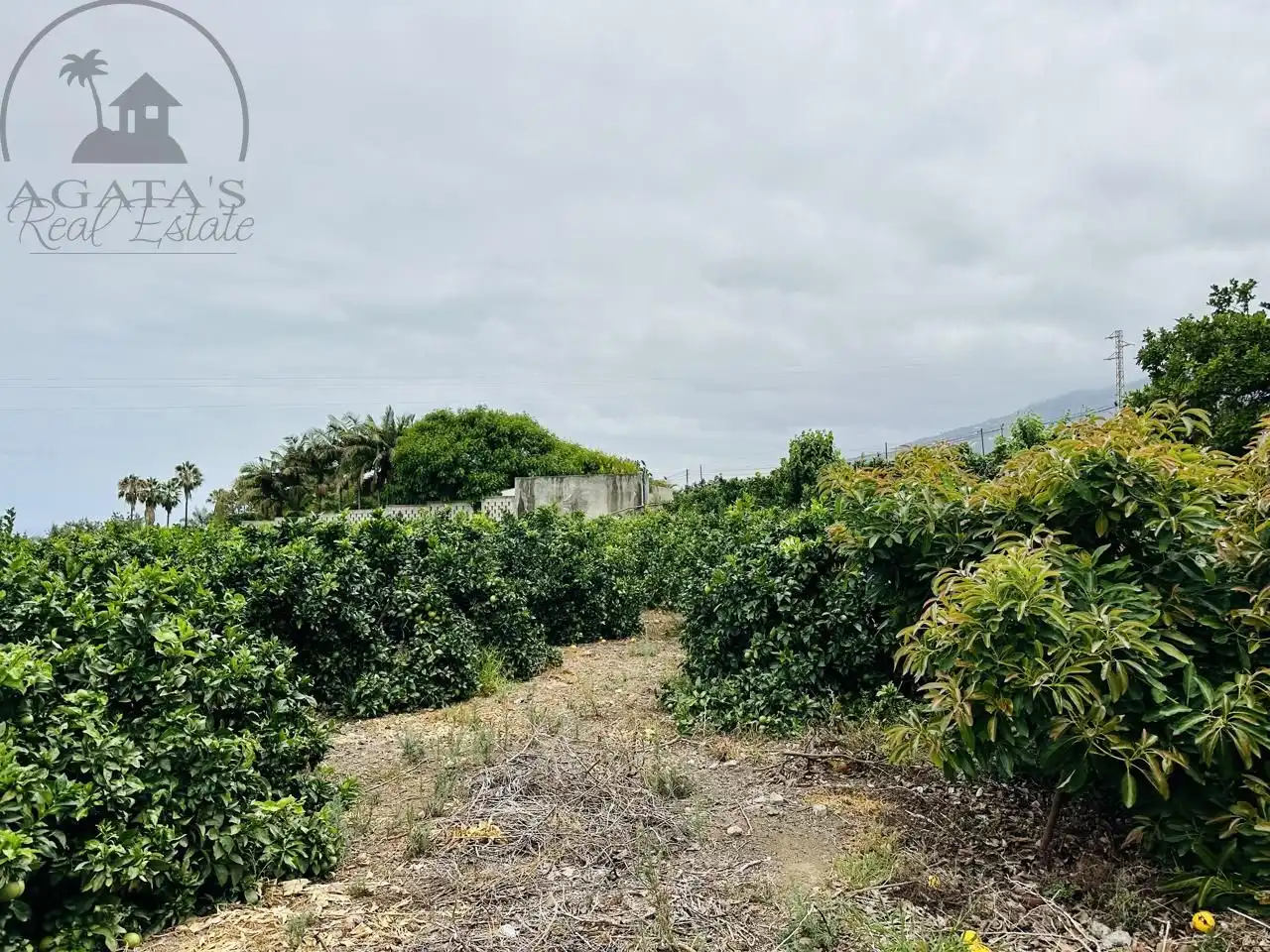 Finca rústica en venta en La Orotava con Jardín privado y Terraza