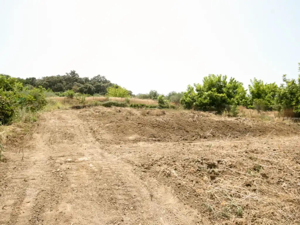 House for sale in Partida Valdeperales, imagen 6