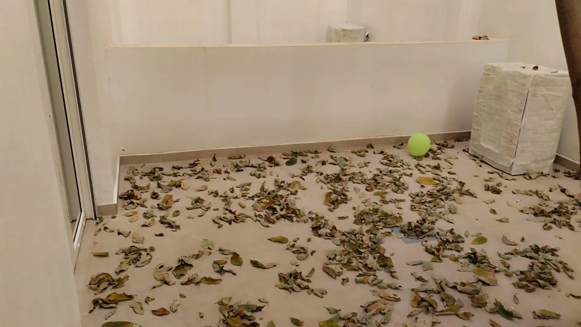 Planta baixa en venda en Xirivella amb Aire condicionat, Terrassa i Moblat