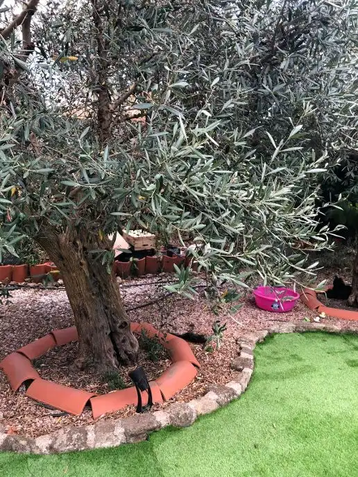 Jardín de Casa o chalet en venta en Jarandilla de la Vera con Amueblado
