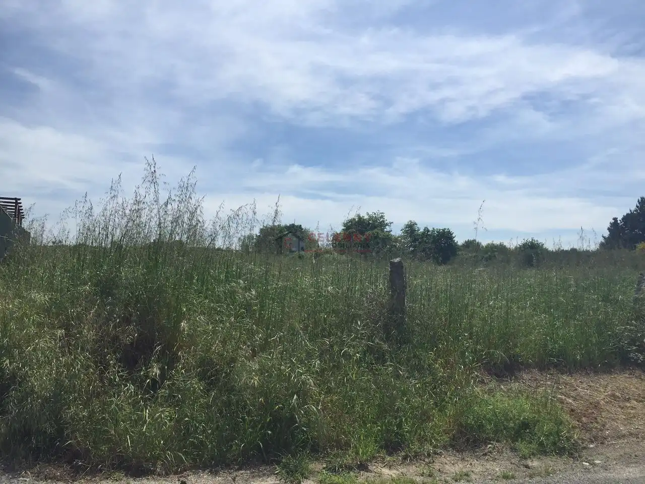 Terreni e lotti in vendita a SAN BENITO CARBALLOS