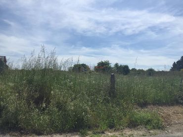 Residential land for sale in SAN BENITO CARBALLOS