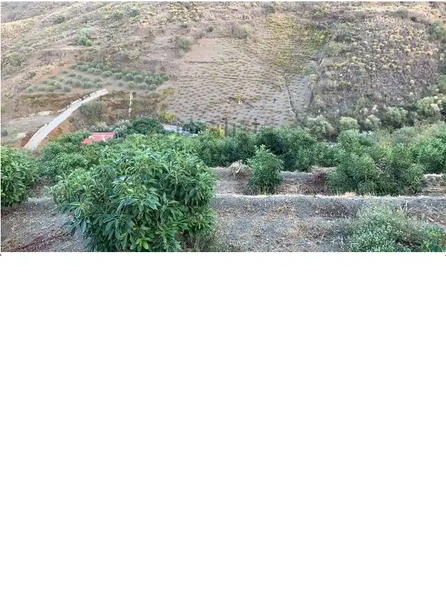 Terreny rústic en venda a Motril  ciudad, imagen 14