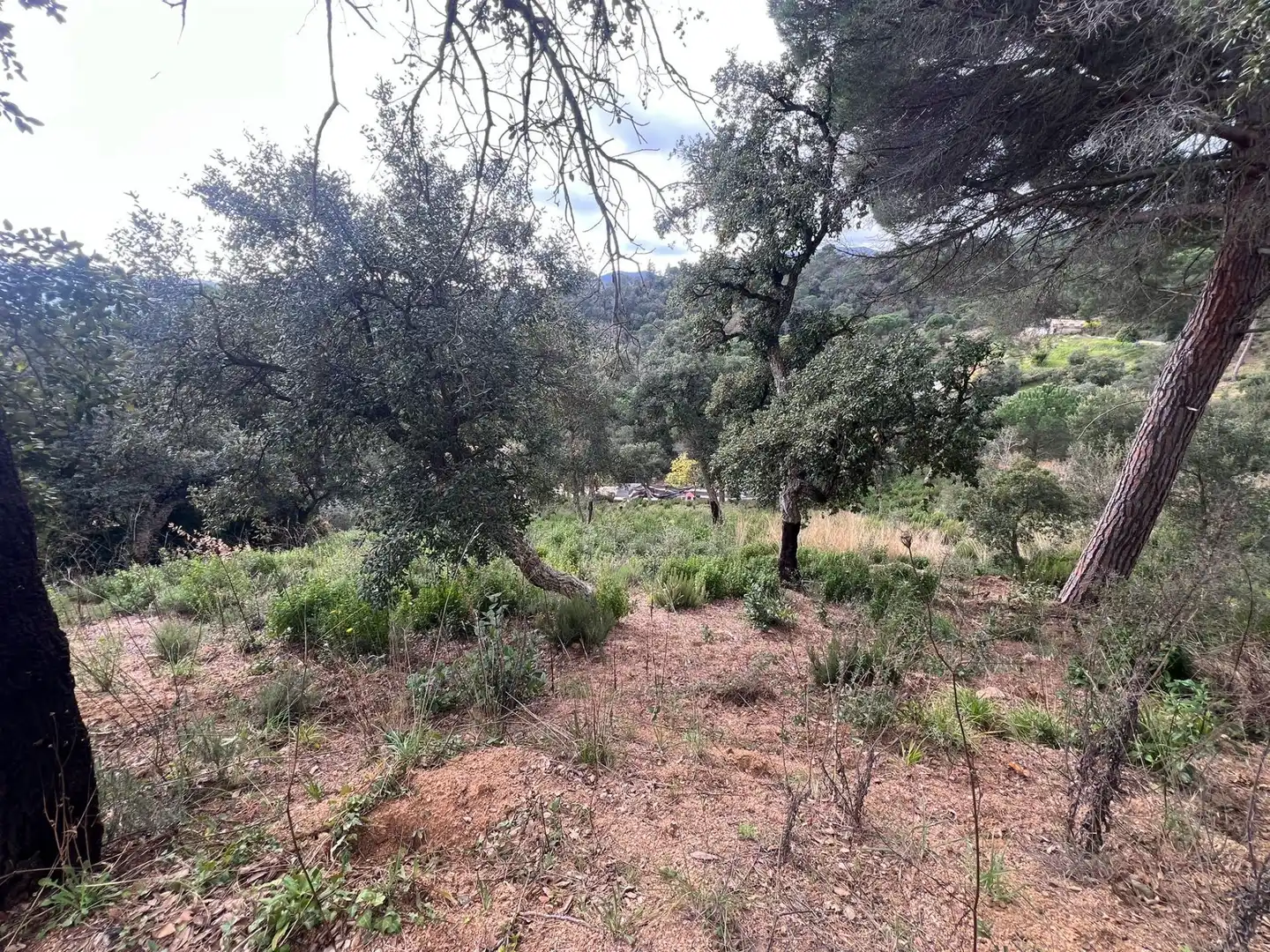 Grundstücke und Bauplätze zum Verkauf in Niàgara Parc - Àgora Parc, imagen 4