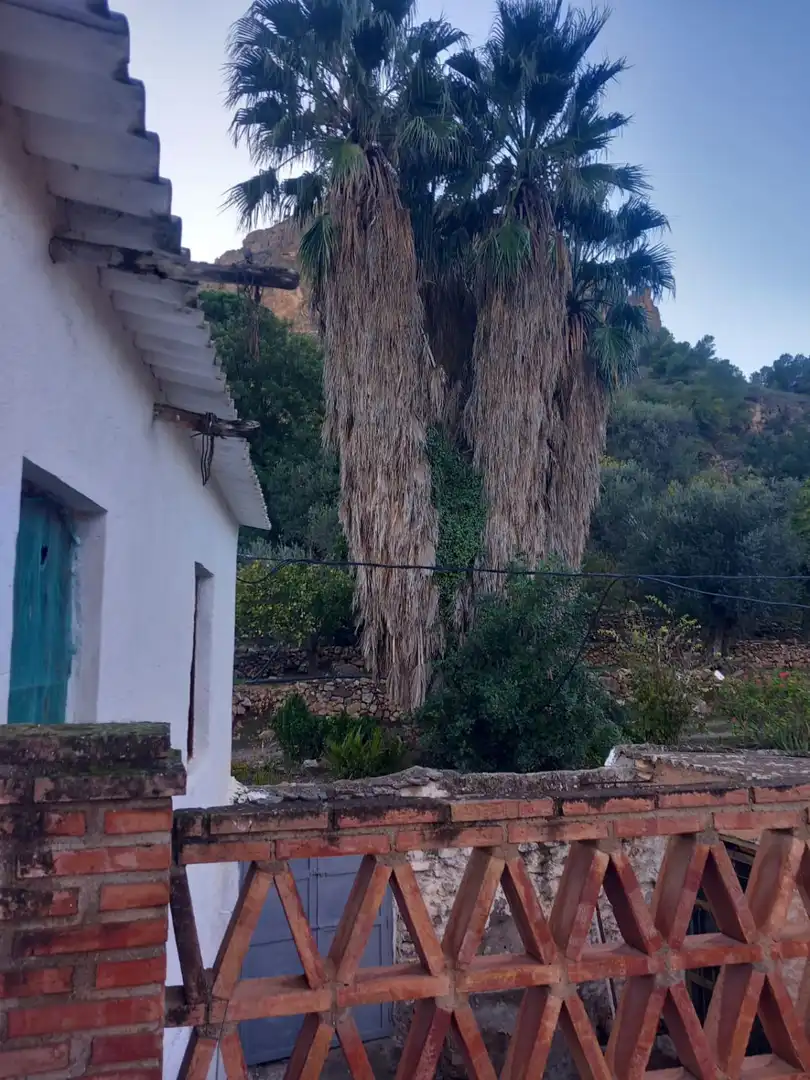 Casa rústica en venda a El Pinar, imagen 48