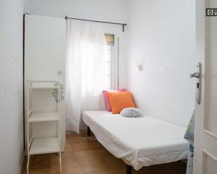 Apartment to share in Puerta Bonita