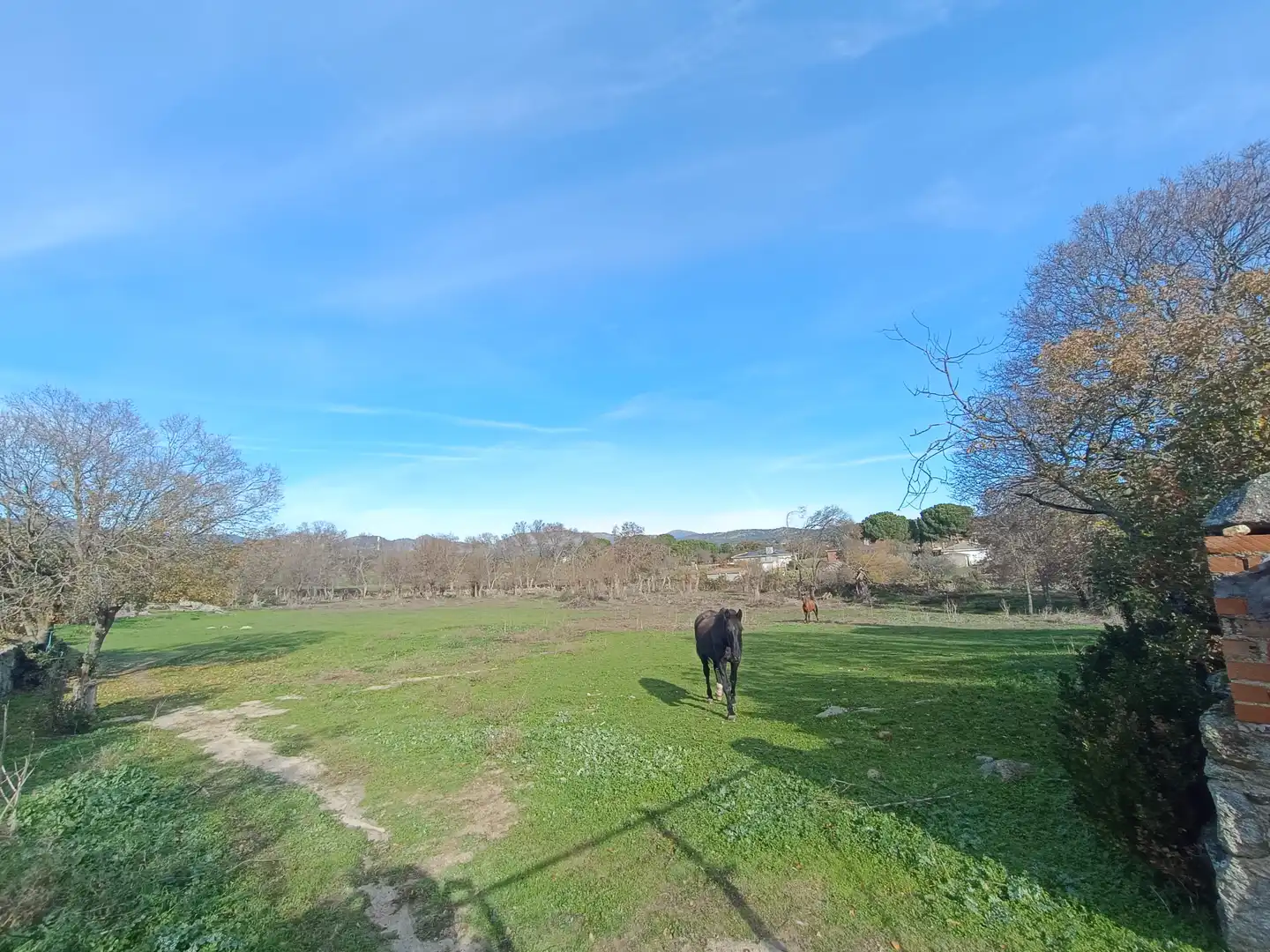 Wohnbaugrundstück zum Verkauf in Colmenar del Arroyo, imagen 13