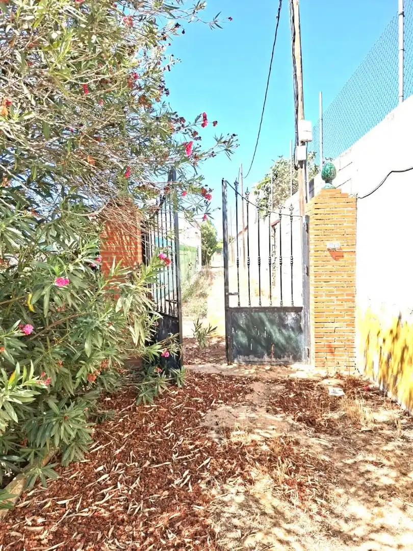 Jardín de Finca rústica en venta en Almensilla con Trastero