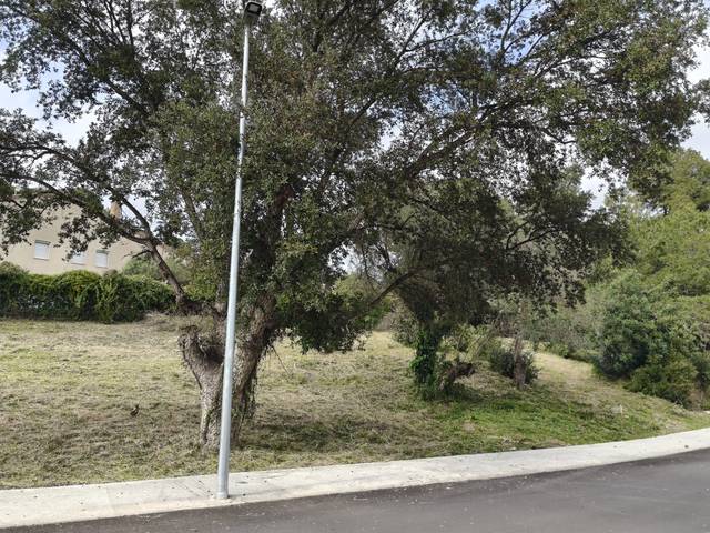 Terreno residencial en Venta en la Manxa en Mas Pere - Río de Oro