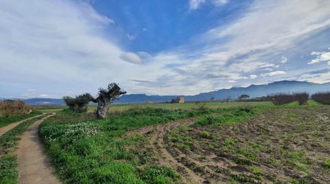 Foto 4 de Casa o xalet en venda a Carrer del Riu, 15, Benissanet, Tarragona