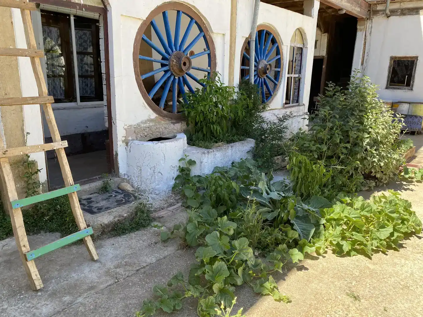 Vista exterior de Piso para compartir en San Cristóbal de la Polantera con Parquet, Trastero y Amueblado