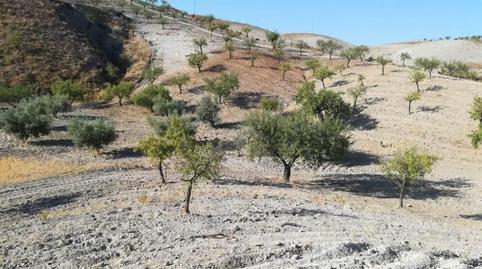 Foto 2 de Casa o chalet en venta en Nogalte, Murcia