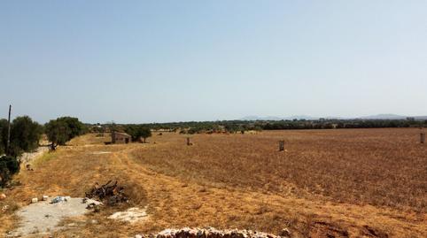 Foto 5 de Residencial en venta en Sa Sorda, 23, Zona Rústica - Interior, Illes Balears