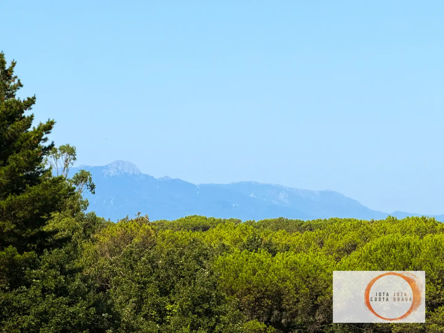 Terreno rústico en venta en Terrafortuna - Puig Ventós, imagen 8