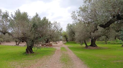 Foto 5 von Residential zum Verkauf in Jesús - Els Reguers, Tortosa