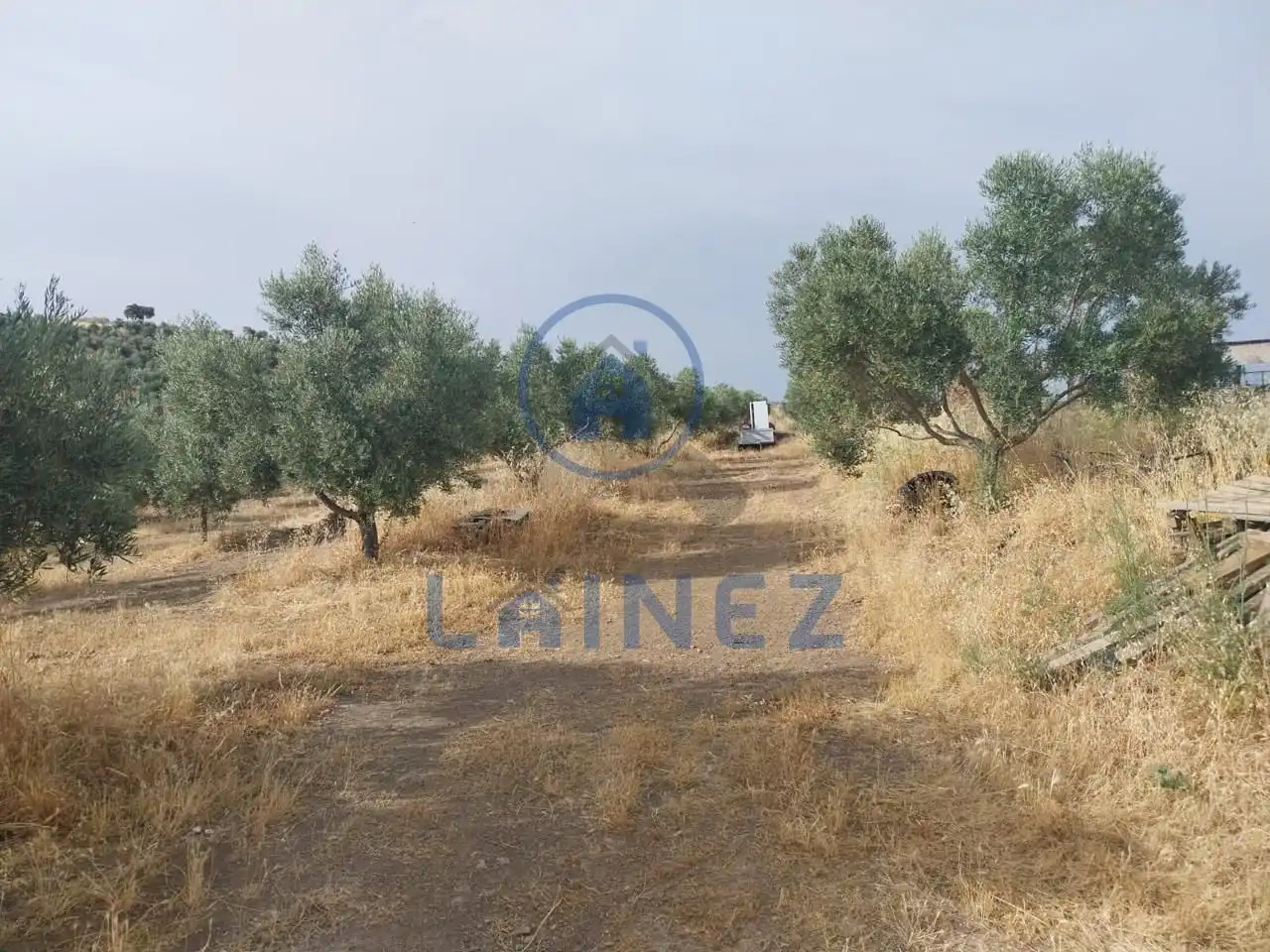 Terreno rustico in vendita a Peñarroya-Pueblonuevo, imagen 35
