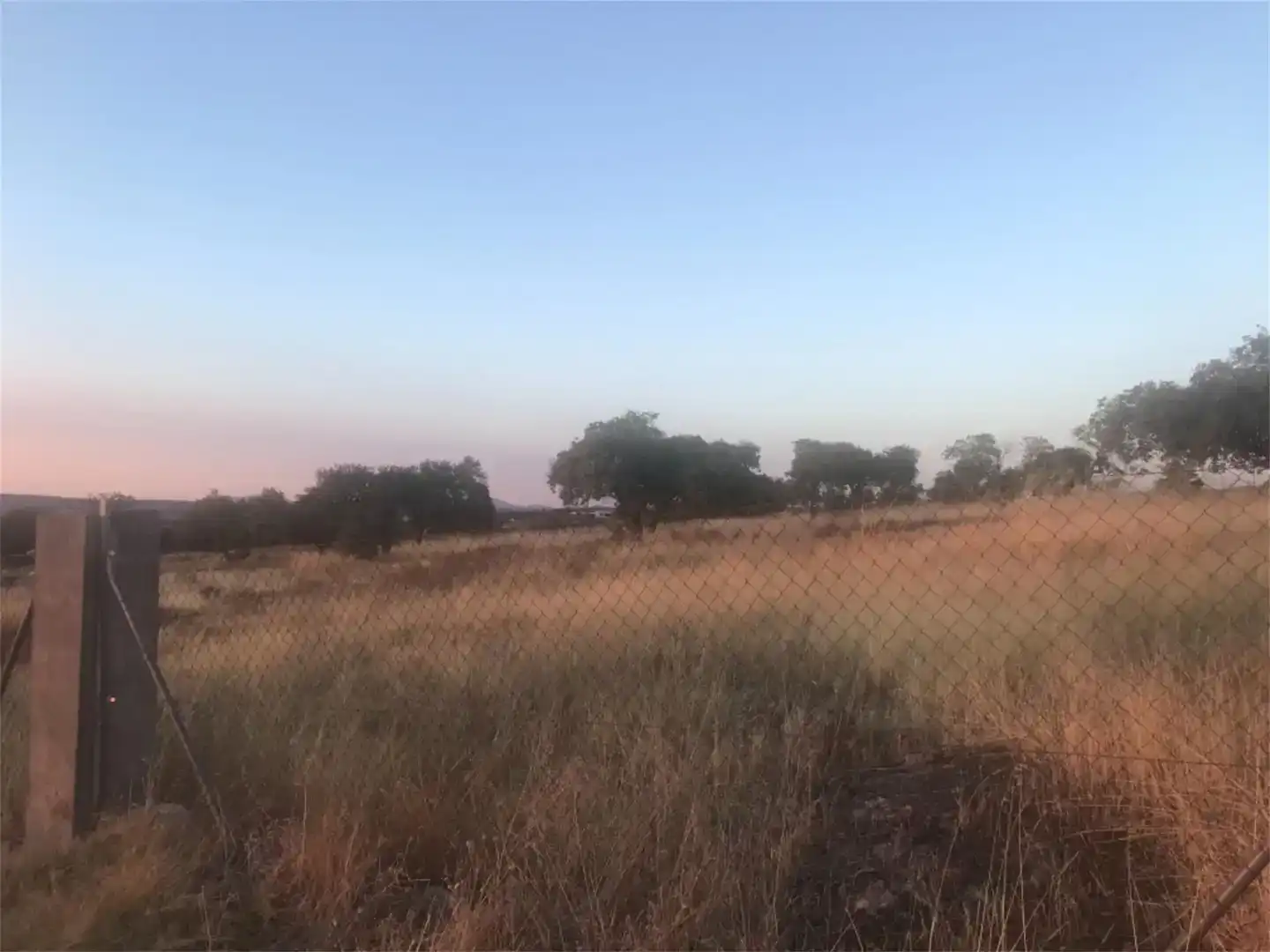 Land for sale in Valverde de Mérida