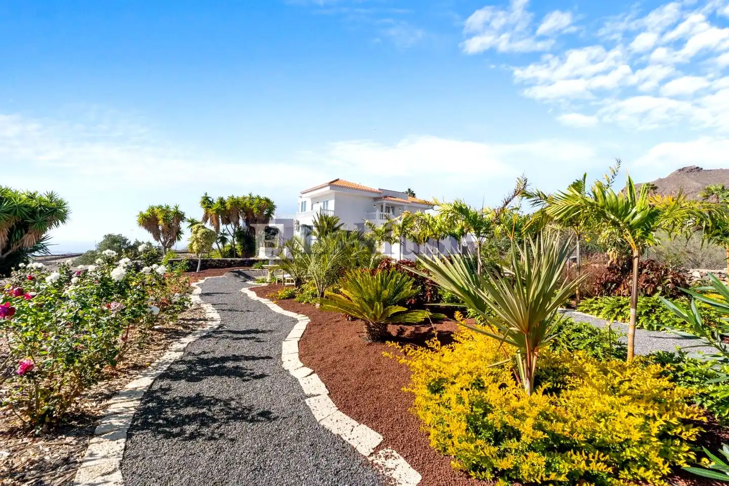 Garden of Houses for sale in San Miguel de Abona  with Private garden, Terrace and Swimming Pool