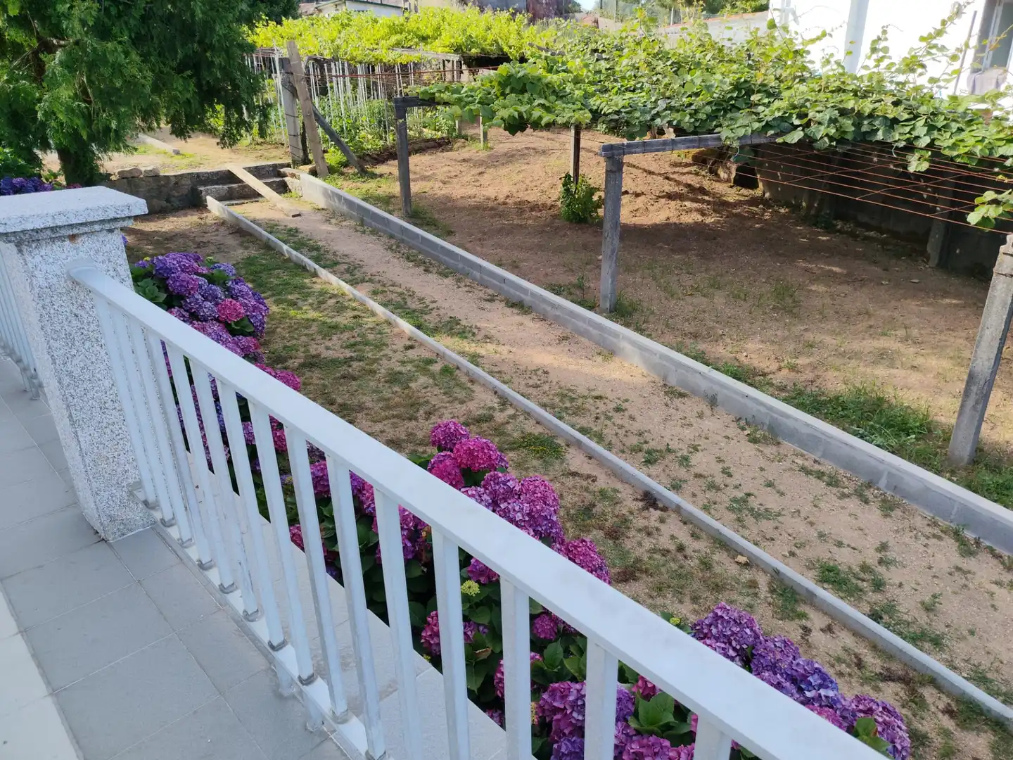 Terrace of Apartments for rent in Ribeira  with Terrace, Furnished and Oven