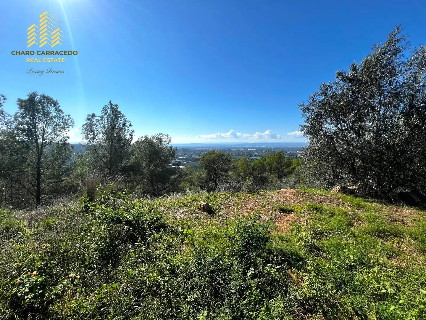 Terreno residencial en venta en Carrer Serra de la Murta, imagen 2