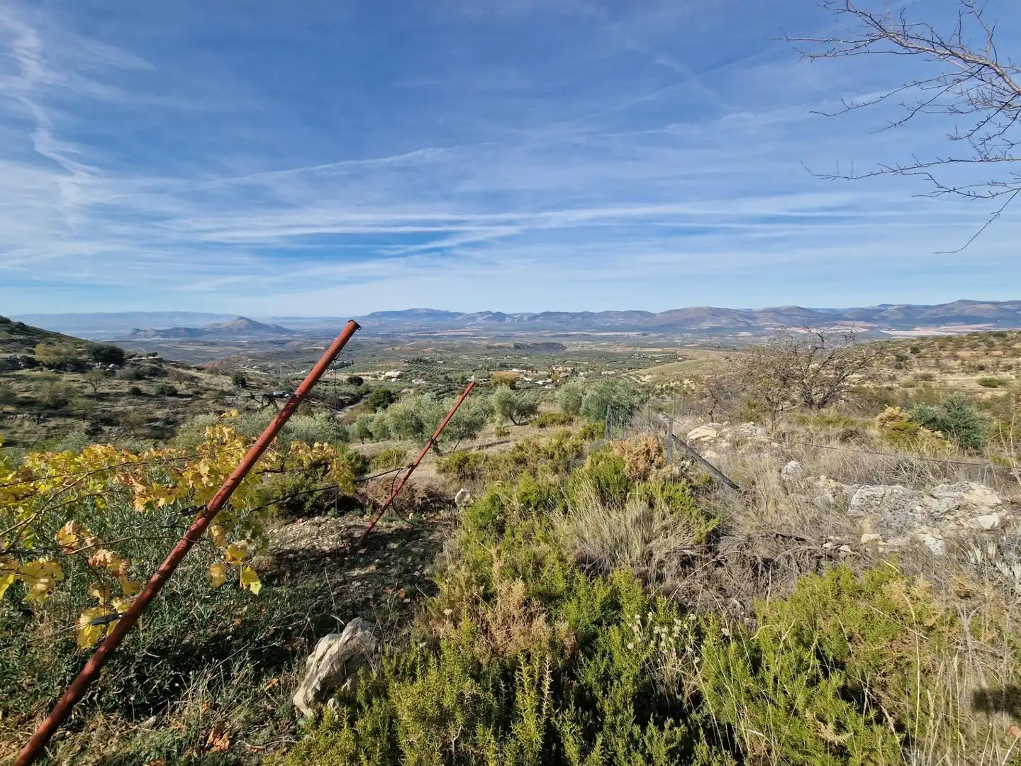 Maison rustique avec jardin à vendre à Cogollos de la Vega, imagen 59