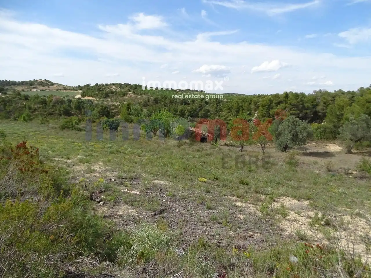 Villa à vendre à Batea, imagen 16