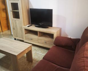 Living room of Flat to rent in Ciudad Real Capital