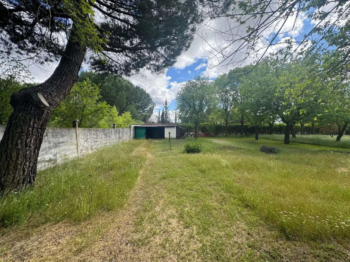 Chalet con jardín en venta en Mi Vida al Aire Libre 1, imagen 29