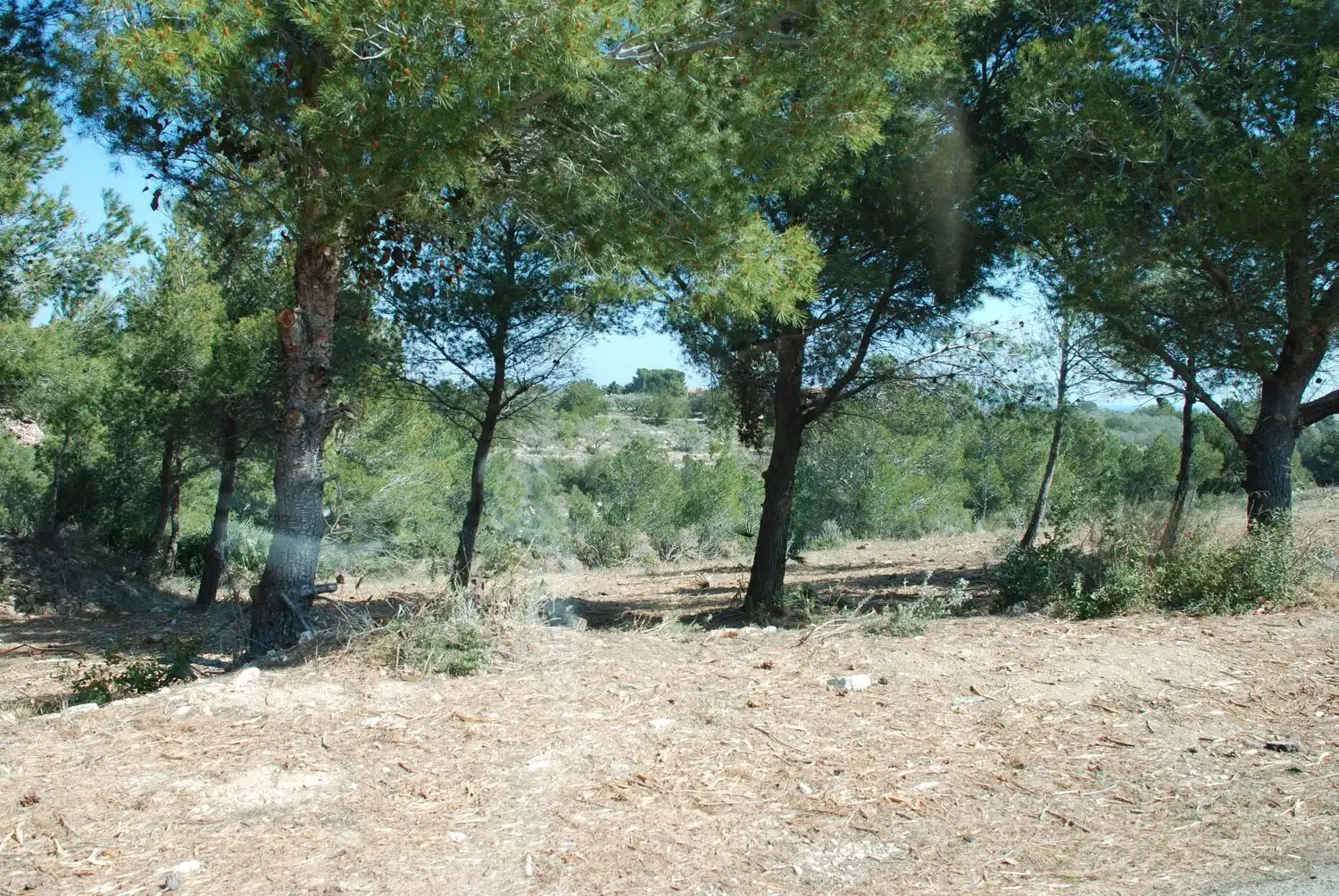Terreno en venta en L'Ametlla de Mar 