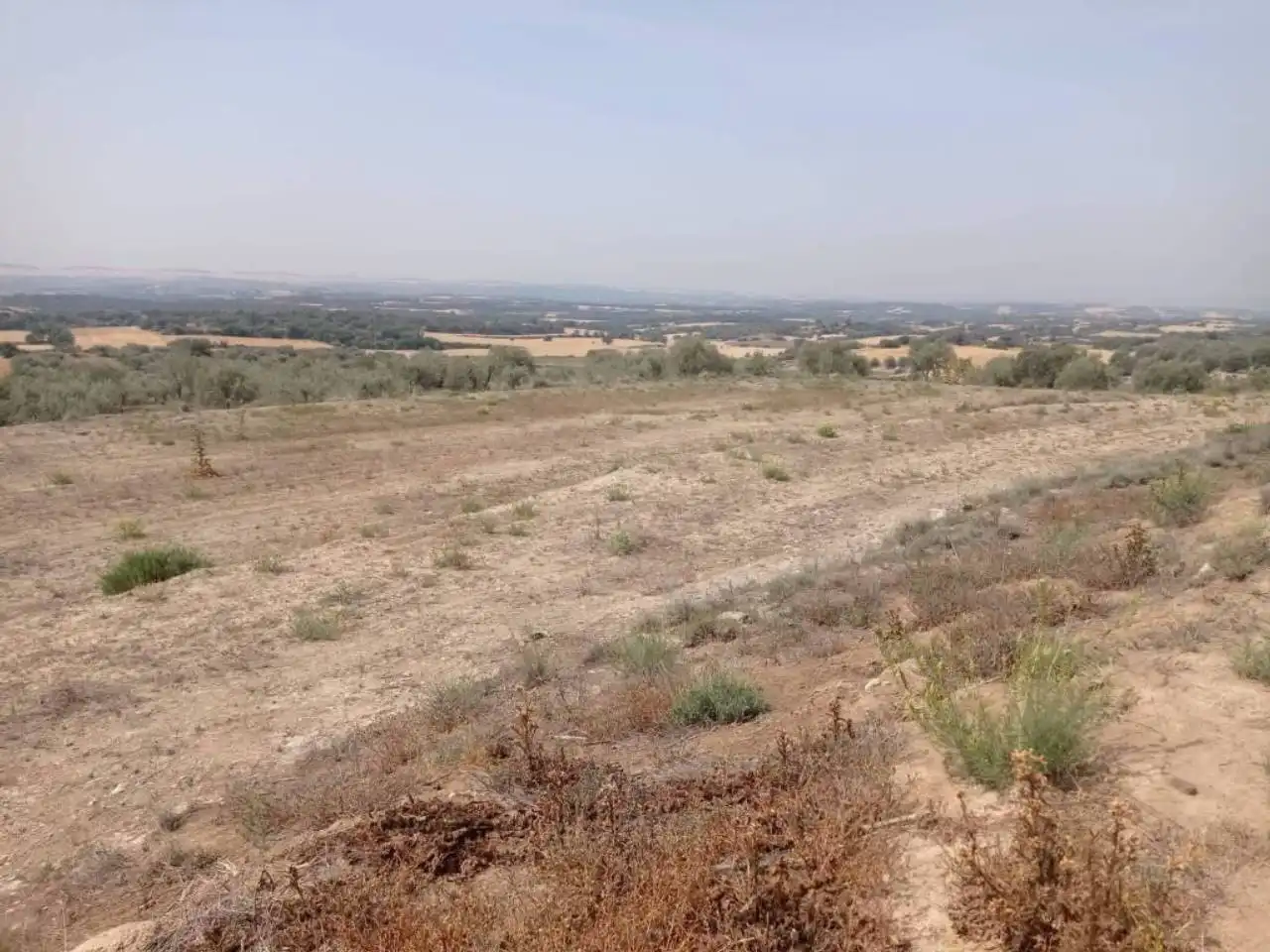 Rural land for sale in Cubells