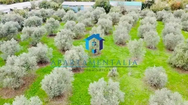 Grundstücke und Bauplätze zum Verkauf in Periurbano Oeste - Sierra
