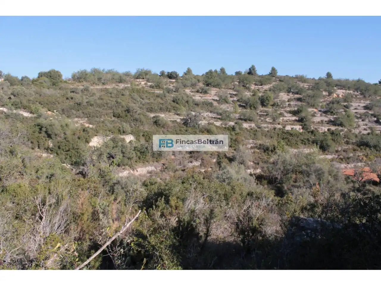 Rural land for sale in Poligono 36, parcela 240, imagen 3