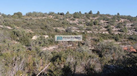 Finca rustica con pozo propio y magníficas vistas al mar, imatge 3