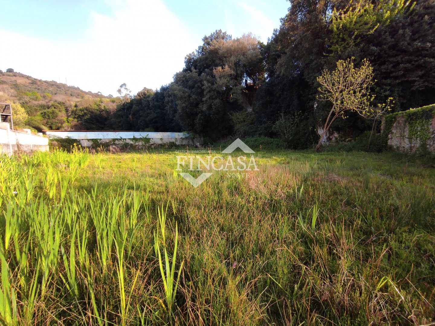 Land for sale in Laredo