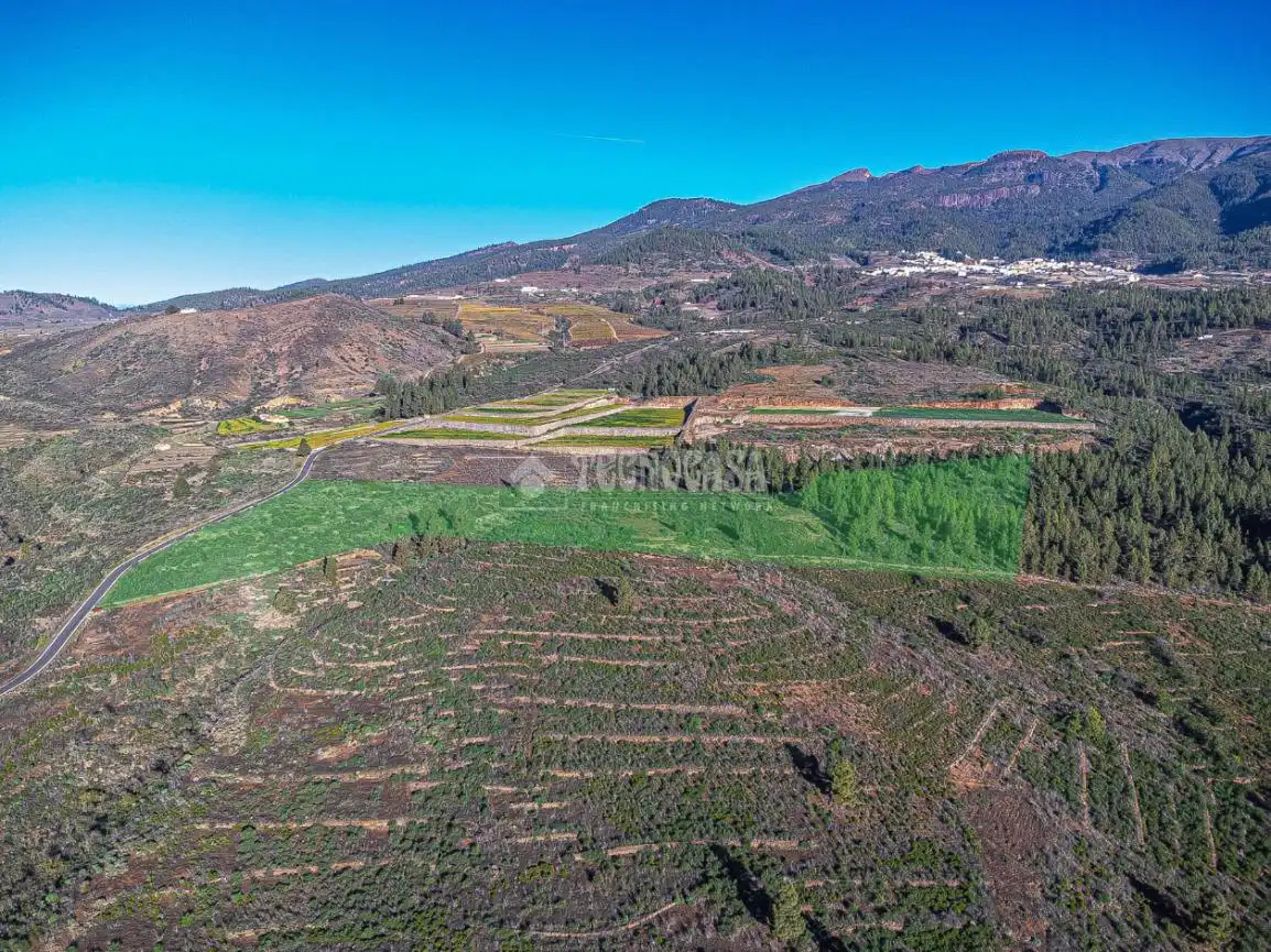 Terreno rústico en venta en Poligono 1, ERA VERDE, VILAFLOR DE CHASNA, imagen 12