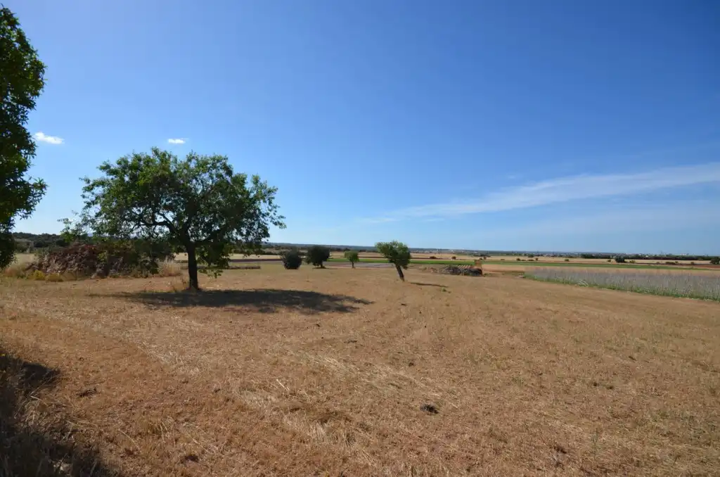 Casa rústica en venta en Llevant, imagen 19