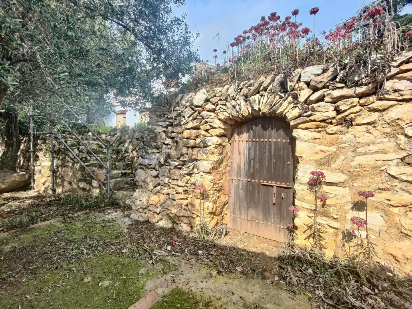 Vista exterior de Casa o chalet en venta en Roda de Berà con Jardín privado, Terraza y Trastero
