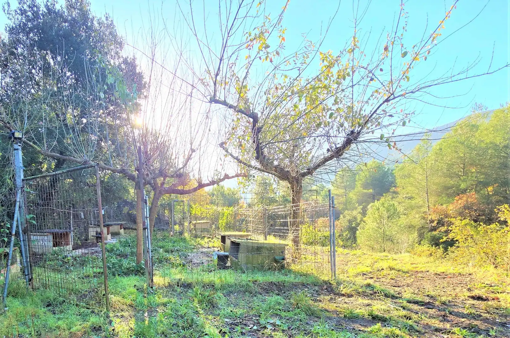 Jardí de Casa o xalet en venda en La Selva del Camp amb Jardí privat, Terrassa i Traster