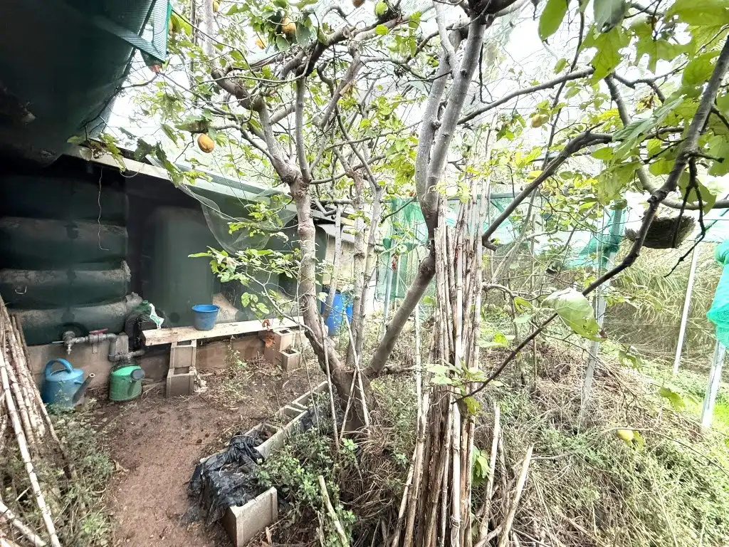 Maison avec terrasse à vendre à Sant Feliu Sasserra, imagen 24