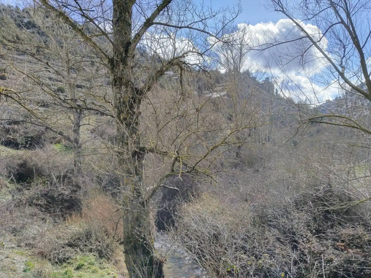 Finca rústica en venta en Covarrubias con Amueblado