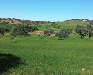 Terreny en venda en Puebla de Guzmán