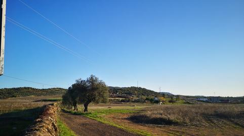 Photo 3 of Land for sale in Proc. Simplificado, S/n, -1, Olivenza, Badajoz