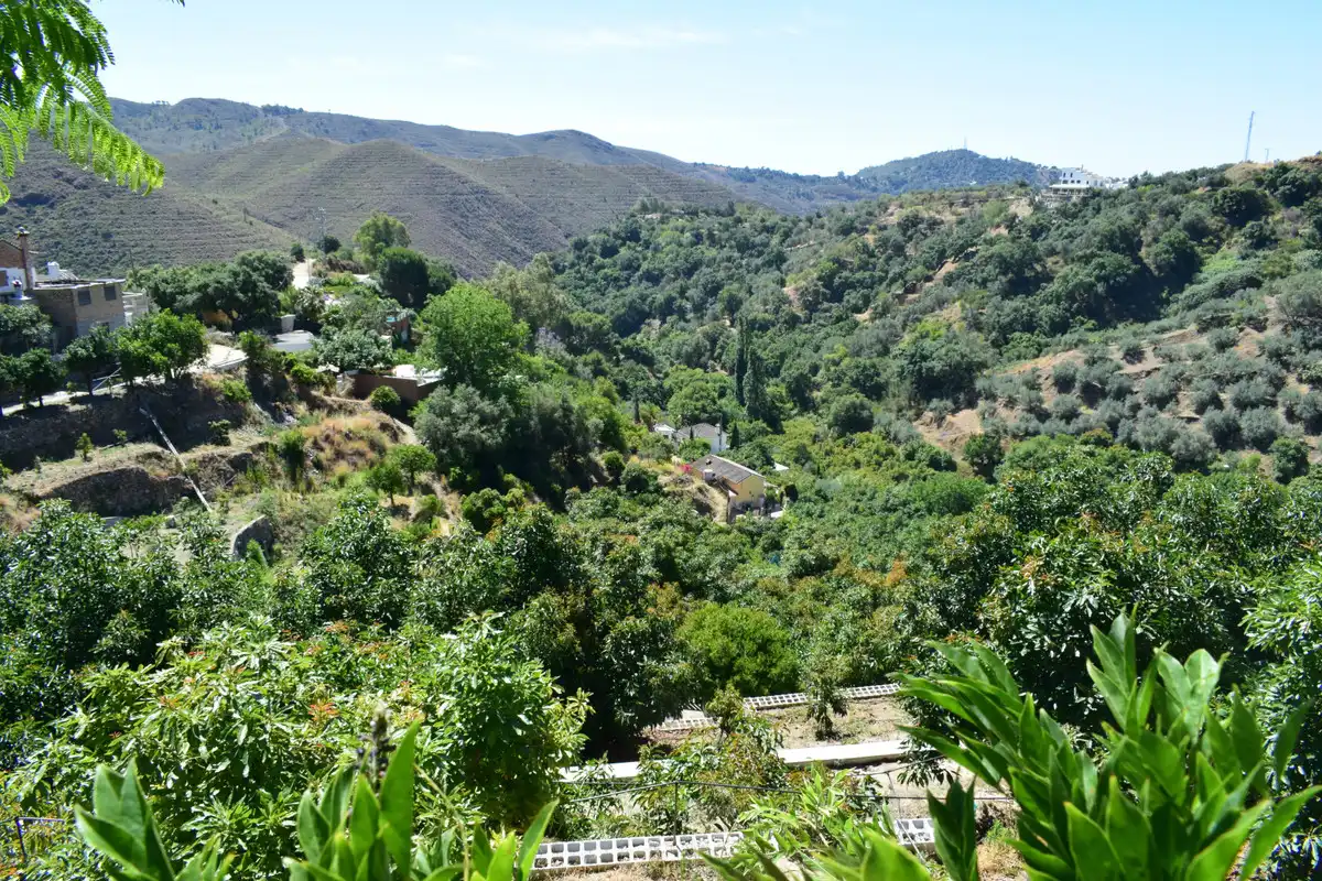 Vista exterior de Casa o chalet en venta en Ojén con Aire acondicionado, Terraza y Amueblado