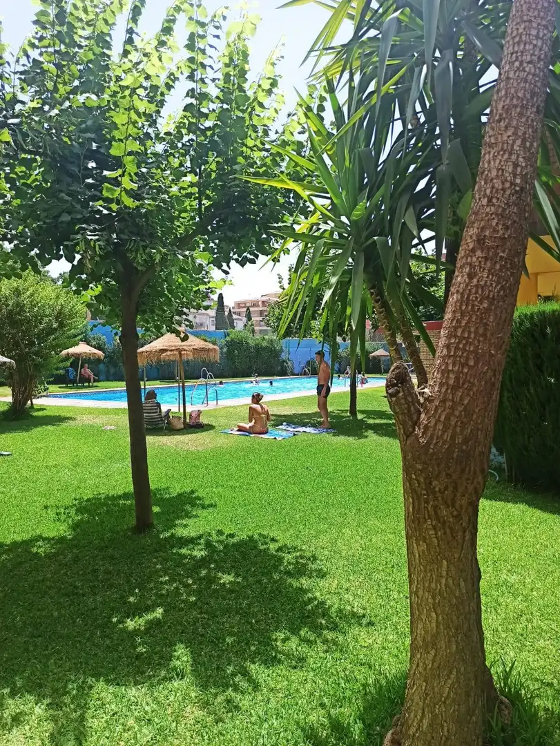 Flat with pool to rent in Beiro, imagen 4