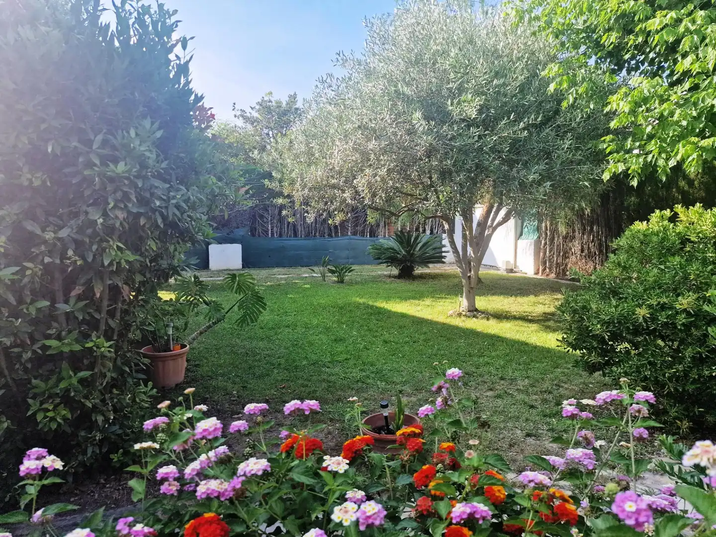 Houses for sale in Carrer Osca, Mar Cambrils